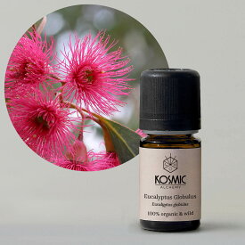 オーガニック ユーカリ グロブルス 精油 ポルトガル ユーカリオイル エッセンシャルオイル プロ用 アロマオイル エステ用 サロン用 100% 高級 Kosmic Alchemy コズミック アロマ バスオイル 入浴剤 車 専用 サウナ 寝室 頭痛 除菌 アロマセラピー トップノート ウッディ