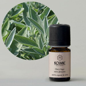 I[KjbN Z[W GbZVIC  VO tX Kosmic Alchemy RY~bNAP~[ v vp A} A}Zs[ A}IC ZsXg zIpV[ VO