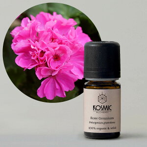 I[KjbN [Y[jE  GWvg GbZVIC vp A}IC GXep K Tp 100%  Kosmic Alchemy RY~bNAP~[ A} A}fBt[U[ 