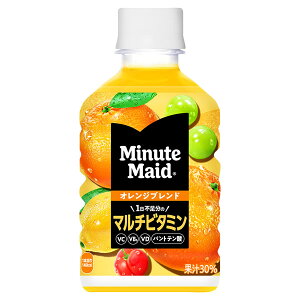 コカ・コーラ ミニッツメイド オレンジブレンド マルチビタミン 280ml PET 24本入×2ケース