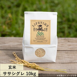 TTVO  "So" 10kg ߘa7NxY ̊󏭕i LIFETIME ORIGINALā@{錧Ίs_ƒ()