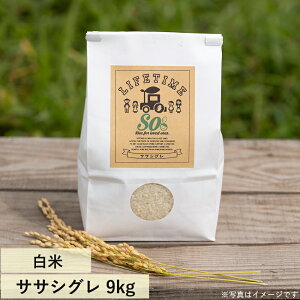 TTVO  "So" 9kg ߘa7NxY ̊󏭕i LIFETIME ORIGINALā@{錧Ίs_ƒ()