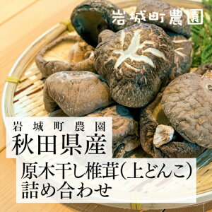 ���؊����ő��i��ǂ񂱁j�l�ߍ��킹 H-50�@��钬�_���b�H�c���R���{���s �S���N������ (��������)