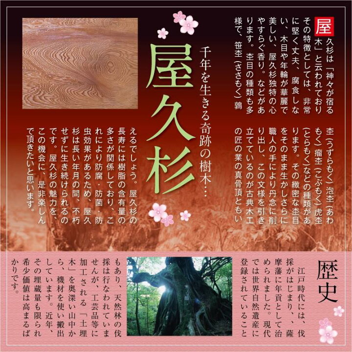 楽天市場】小棚 開戸 電話台 ミニキャビネット 木製 収納棚 収納ケース 