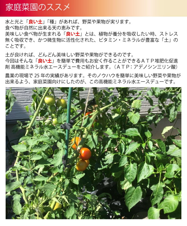 楽天市場 送料無料 土作り 有機 atp 堆肥化 促進剤 家庭菜園 オーガニック 有機肥料 野菜 果物 簡単 高機能ミネラル水 糞尿0kgを肥料化 消臭化 日本製 農業資材 ぐっはび生活 楽天市場店 楽天市場 送料無料 土作り 有機 atp 堆肥化 促進剤 家庭菜園 オーガニック 有機肥料 野菜 果物 簡単 高機能ミネラル水 糞尿0kgを肥料化 消臭化 日本製 農業資材 ぐっはび生活 楽天市場店