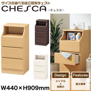 _r[1000~N[|!^ ؎ƃI[ṽfUCIV gȒP `FXg 440×909TCY Chesca `FXJ [ o bN