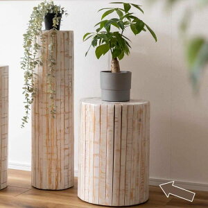 Xc[ ( Xc[ ԑ փXc[ u ʎH xbhTCh \t@TCh ֎q RpNg Vv i` Í pC VR t@ubN )