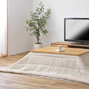 |R^czc ` 190×230cm ( |zc |  |zc k |zc J[L lCr[ x[W O[  Vv )