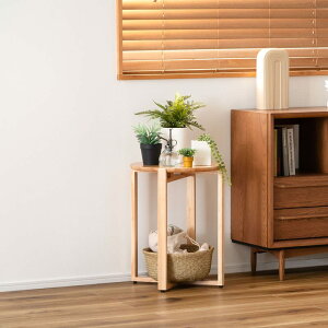 TChe[u ( TChe[u iCge[u e[u ؐ VR k  ~  Eh AWX^[t 40× s40× 50 cm )