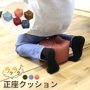 TCRNbV MTCY q y y NbV ֎q  ܂ { Y Q Ђ| CeA p w yɍ v[g  hV̓  