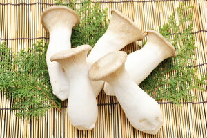 yzтGMB 500g k̂ 挧Y Yn v① GM