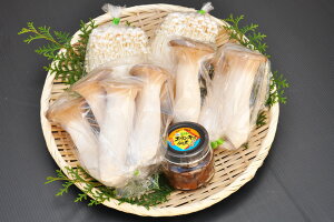 yẑ lߍ킹 MtgZbgijk̂ 挧Y Yn v① GM ̂ ̃[J[iƂ̓s Ε 