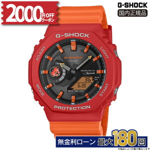 y2000~OFFN[|zz&XPő43{zGA-B2100DF-4AJR CASIO JVI G-SHOCK GVbN h oh Ki bh ϏՌ\ AifW ~Mtg NX}X