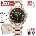 【取説印刷サービス】【無金利6回】【4日20時から！2000円OFFクーポン】ES9497-53E シチズン クロスシー xC 限定モデル hikari collection HINODE COLLECTION