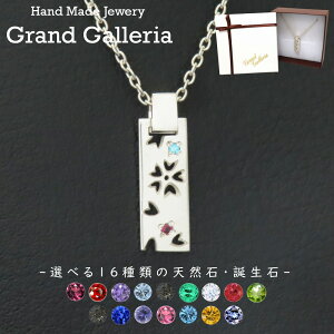 lbNX Vo[925 y󖳗z   TN Ԃт t  t[ Vo[ANZT[ Iׂ a VR Y fB[X jZbNX LO a v[g n