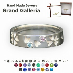 O w Vo[925 y󖳗z   TN O t  t[ Iׂ VR a Vo[ANZT[ Y jZbNX yA yAO NX}X a v