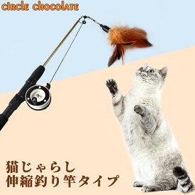 circle chocolate ペット　猫　ペット用品　伸縮　釣り竿タイプ　猫じゃらし　おもちゃ カシャカシャ　運動不足　ストレス解消　面白い