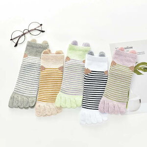 5ZbgC \bNX \bNXZbg fB[X  ܖ{w N fB[X 5{w\bNX  X|[c CZbg 