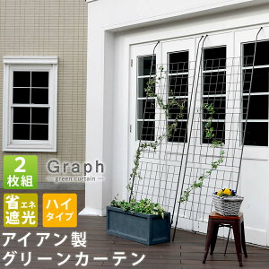 Graph Ot ACAO[J[e ȃGlՌ nC^Cv 2g