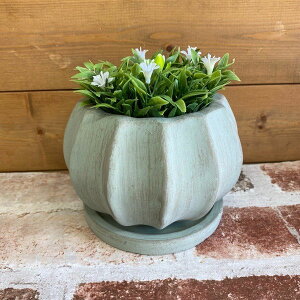 h[v{EM O[iTL290jMtv^[/EJg[G݁EԁEAET{eECeAErOEցEWNK[fEEMtg/v[g/