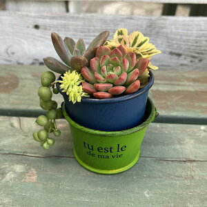 [iւSALE][45%OFF]oPc |bg \[|bg u[i5E4198j/~j/v^[//O/W/Jg[/G/K[fjO///K[fjO/A//񂹐A