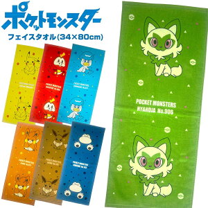 |P tFCX^I (34×80cm) Iׂ7ށysJ`E/C[uC/JrS/jIn/zQ[^/NbX/pz100/pCn/V[On/Mtg/v[g/LbY/xr[/L