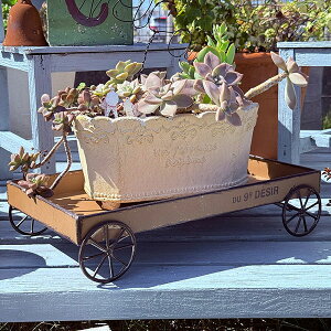 ԗ֕tt[X^h fW[J[g BE x[W(UN2169)t[X^h/ /O/K[fjO/A//񂹐A/A/ϗtA/T{e/Mtg/v[g/AeB[