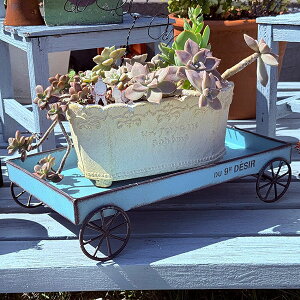 ԗ֕tt[X^h fW[J[g BL u[(UN2170)t[X^h/ /O/K[fjO/A//񂹐A/A/ϗtA/T{e/Mtg/v[g/AeB[N