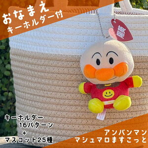 OL[z_[tAp} ӂ}V} }XRbg ʂ(Iׂ25) ΂܂/hL/pi/傭ς܂/J[p}/RL