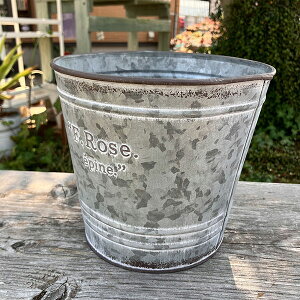 oPc^ uLv^[ (a17.5cm) [T[NMGY (MH1608jی^/~^//O/v^[/K[fjO/Aؔ/WNK[f/A//񂹐A/ϗtA/T{e/