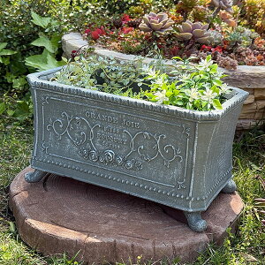 ���t���v�����^�[ �O�����W�������C�h SGY �O���[ (GF4916) �A�ؔ�/�C���e���A/�ϗt�A��/�J���g���[/�F�V/�O���X�t�@�C�o�[/�v���[���g/�M�t�g/���킢��/�W�����N�K�[�f��/�K�[�f�j���O/������