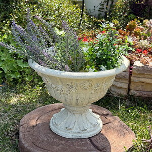 Jbv^v^[ [AjGJbv SW zCg (GF4987) Aؔ/CeA/ϗtA/Jg[/FV/OXt@Co[/v[g/Mtg/킢/WNK[f/K[fjO/