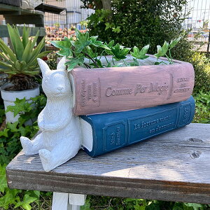 ETMƃubN^v^[ [uANep|bg P sN (GF4939) rbg/ETM/{/OXt@Co[/Aؔ/K[fjO//Mtg/v[g/y/CeA/GNX