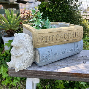 nlY~ƃubN^v^[ [uANeG\|bg Y CG[ (GF4941) nlY~/{/OXt@Co[/Aؔ/K[fjO//Mtg/v[g/y/CeA/G