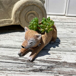 Č^̃~jv^[ GeBV|bg (5E4361) K[fjO/Mtg/v[g//킢//Aؔ//ϗtA/A/CeA/VoCk/