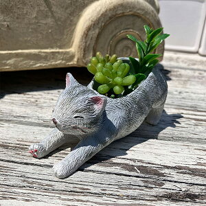 lR^̃~jv^[ GeB|bg (5E4360) K[fjO/Mtg/v[g//킢//Aؔ//ϗtA/A/CeA/L