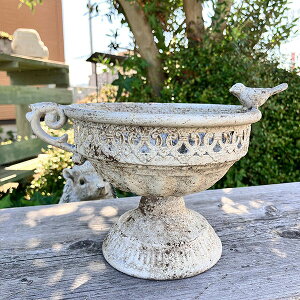 Jbv^uLv^[ (a15cm) I][JbvW (UF585jzCg//uLv^[//O/v^[/K[fjO/Aؔ/WNK[f/A//񂹐A/