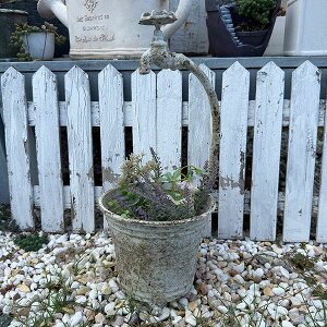 AeB[NuLv^[ Vr[^bv|bgSGY(UF581) O[/֌t/Vr[VbN//O/K[fjO/Aؔ/WNK[f/A//񂹐A/ϗpA/J