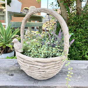 AeB[NoXPbgv^[ jh][oXPbgAW zCg (GF7109) ////O/K[fjO/Aؔ/WNK[f/A//񂹐A/ϗpA/J