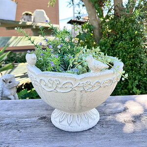 Jbv^v^[ I][|JbvSW (GF4997) /ꌊ//O/K[fjO/Aؔ/WNK[f/A//񂹐A/ϗpA/Jg[G/v[g/Mtg/A