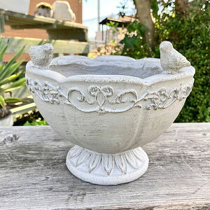 Jbv^v^[ I][|JbvSGY O[(GF4999) /ꌊ//O/K[fjO/Aؔ/WNK[f/A//񂹐A/ϗpA/Jg[G/v[g/Mt