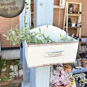 nMOuLv^[ A|^WFnOW zCg(MH1736)@݂艺/Ǌ|///O/K[fjO/Aؔ/WNK[f/A//񂹐A/ϗpA/Jg