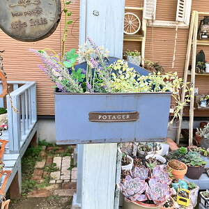 nMOuLv^[ A|^WFnOBL u[(MH1739) ݂艺/Ǌ|//O/K[fjO/Aؔ/WNK[f/A//񂹐A/ϗpA/Jg[G/v