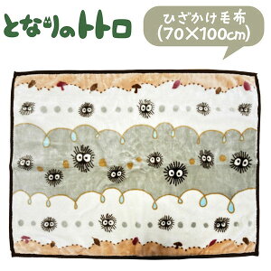 [X[p[SALE Gg[Ń|Cg 7{ 12/4 20`]ƂȂ̃gg Ђ|(70×100cm) NXP VGbg |GXe100/Đ|GXegp/NH[^[TCY/X^WIWu