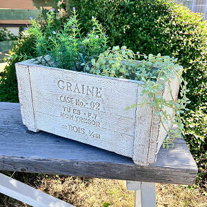 ؖڒ̉v^[ OCkEbhChSW zCg(GF1852) //OXt@Co[/v^[/K[fjO/񂹐A//A/T{e/ϗtA/Jg[G/v