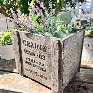 ؖڒ̉v^[ OCkEbh{bNXSBR uE(GF1850) //OXt@Co[/v^[/K[fjO/񂹐A//A/T{e/ϗtA/Jg[G/