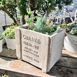 ؖڒ̉v^[ OCkEbh{bNXSW zCg(GF1846) //OXt@Co[/v^[/K[fjO/񂹐A//A/T{e/ϗtA/Jg[G/