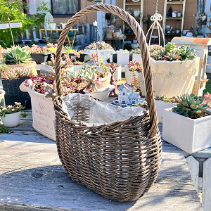 ���j�J�[�u�o�X�P�b�gDGY �_�[�N�O���[(KH352�j�����Ƀr�j�[���J�o�[�t/�v���X�`�b�N��/����/�J�S/��/�v�����^�[/�����A��/�񂹐A��/��/�ϗt�A��/�J���g���[�G��/�K�[�f�j���O/����/�J�S/�p�j