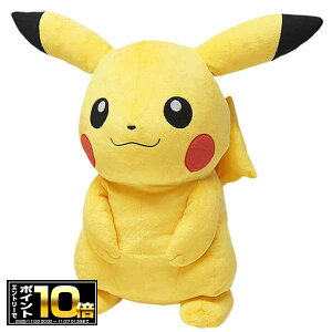 [Gg[Ń|Cg10{ 11/20 20`]|P ʂ LTCY sJ`E PP53 |PbgX^[/Pokemon/Pok?mon/ALL STAR COLLECTION/I[X^[RNV/Opf/Mtg/v[g/O