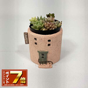 [Gg[Ń|Cg 7{ 12/4 20`]nEX^̂킢~jv^[ [gbN|bgPi5E4239j/~j/v^[//O/W/Jg[/G/K[fjO//